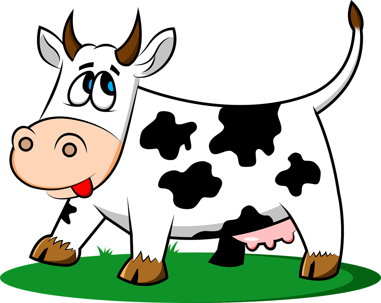 tehén, állat, állattenyésztés, farm, állati természet, tőgyek, állati tehén, fejős tehenek, terület, természet, háttér, fekete -fehér tehenek, gyönyörű tapéta, préri, borjúhús, rét, állatok, rajzfilm, rajz, növény, ingyenes kép