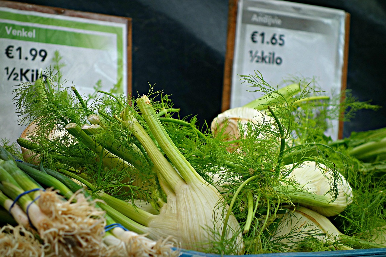 fennel, herb, foeniculum vulgare, fennel bulb, food, nutrition, vegetable, shalott, fresh vegetable, culinary, cuisine, eating, meal, medicine, anise, absinth, market, vegetable market, green vegetables, green medicine, green eating, green nutrition, green market, fennel, fennel, fennel, fennel, fennel, foeniculum vulgare
