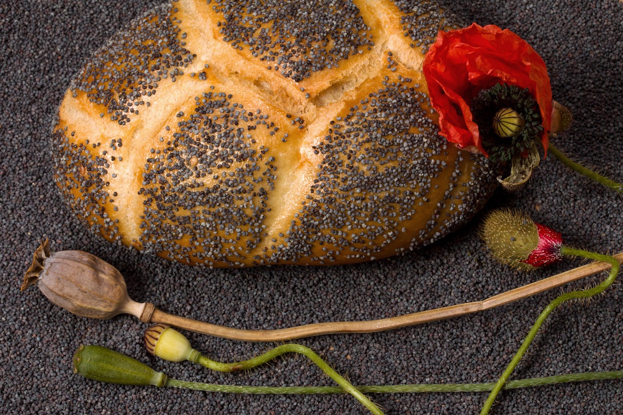 mohn, samen, mohnblume, brötchen, mohnbrötchen, samenkapsel, mohnsamen, mohnbrötchen, mohnbrötchen, mohnbrötchen, mohnbrötchen, mohnbrötchen, mohnsamen, mohnsamen, mohnsamen