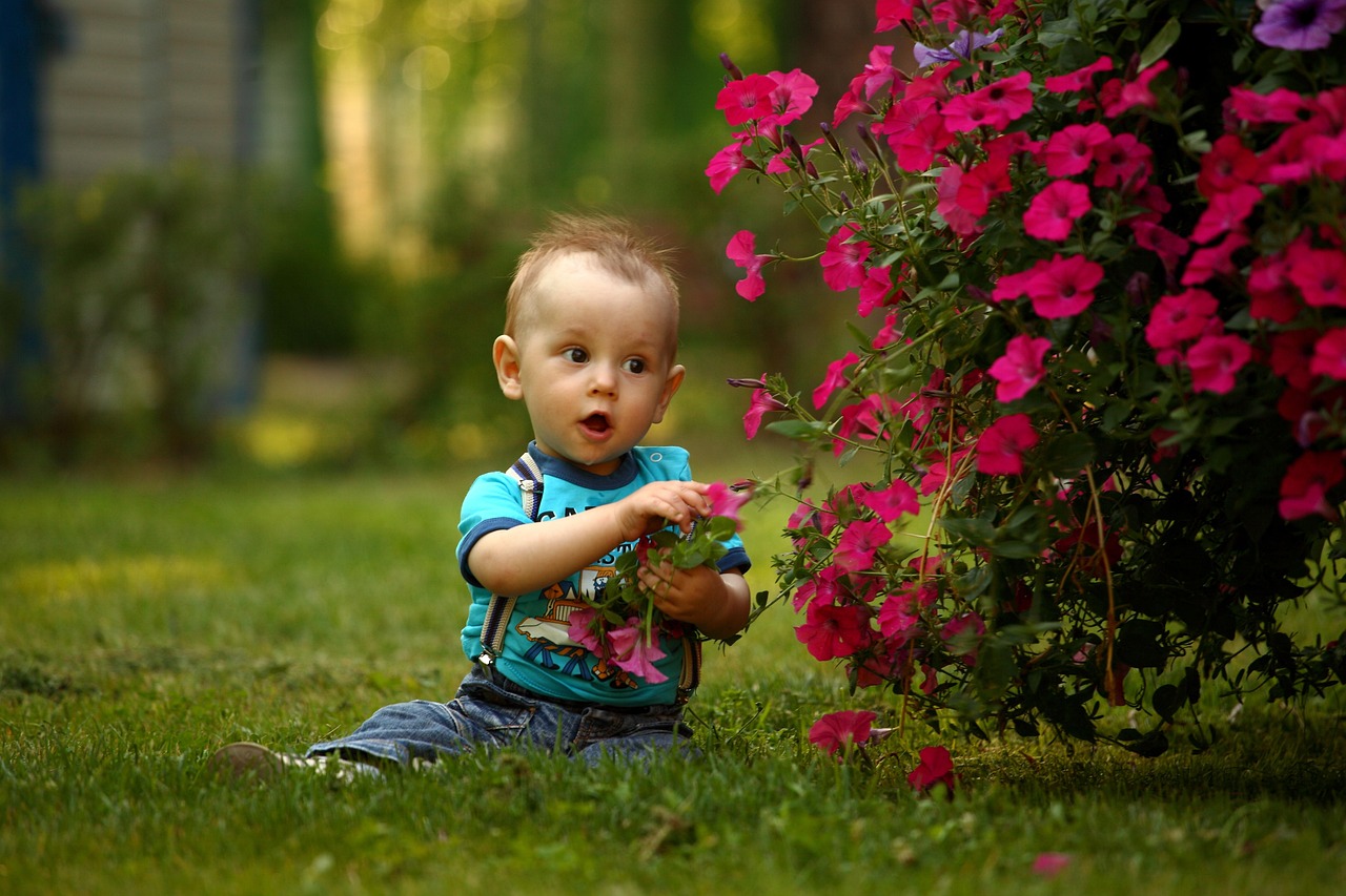 baby, kid, the park, summer, child photographer, kids, small child, childhood, family, boy, nature, photographing children