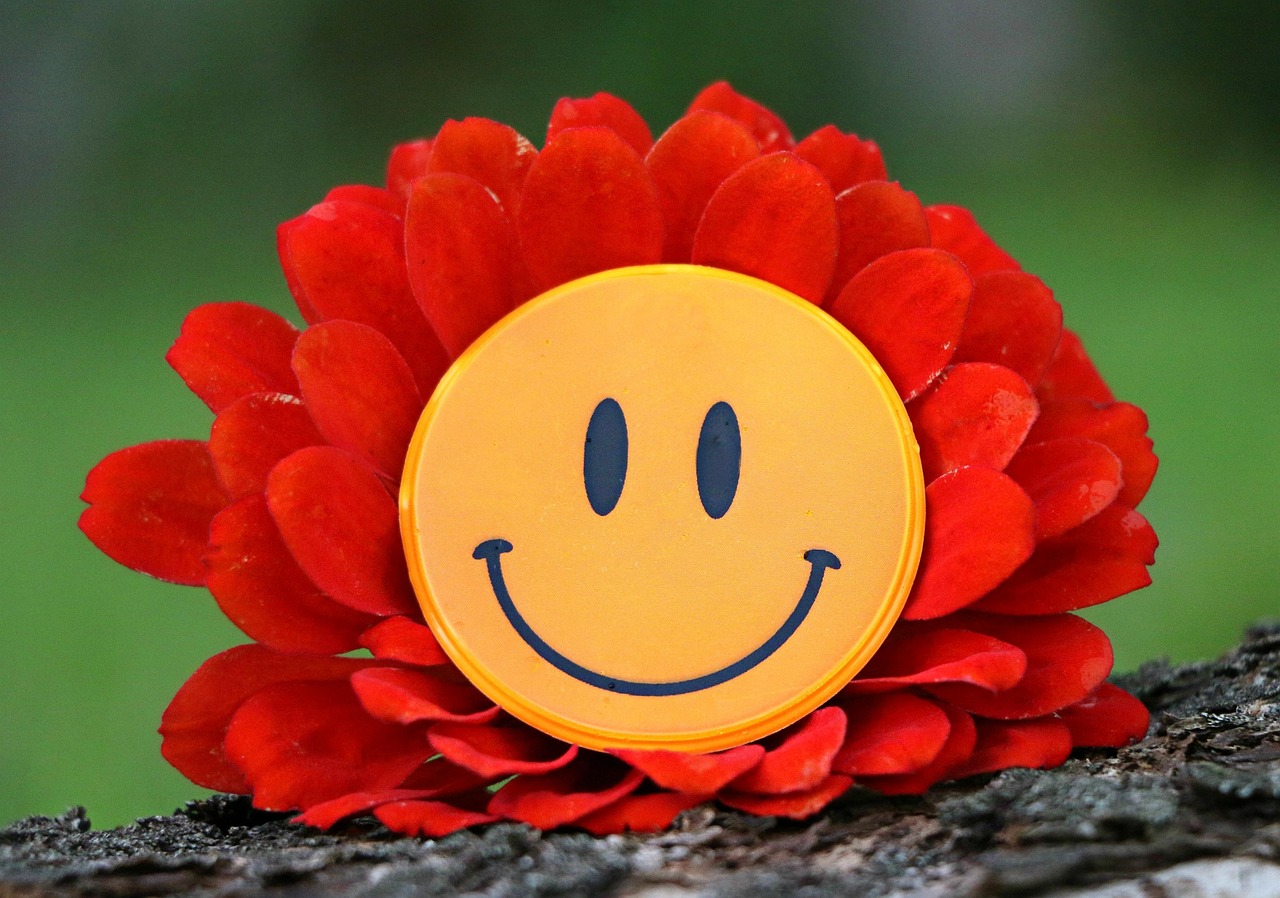 smiley, joy, flower, beautiful flowers, smile, laughter, mood, happiness, delight, emotion, symbol, sign, the internet, sms, nature, flower wallpaper, flower background, message, holiday, yellow, red