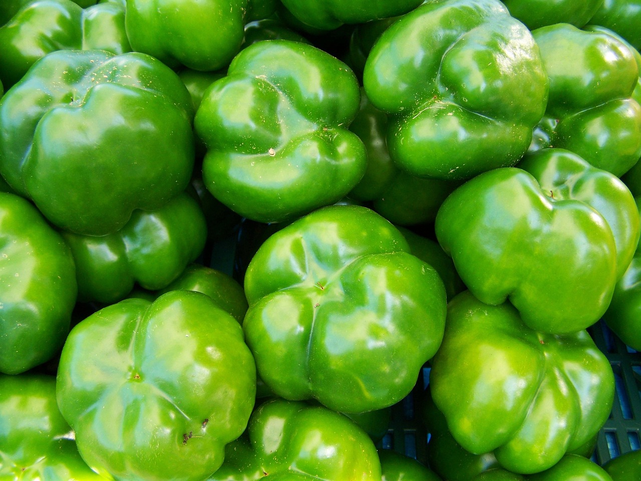 pepper, green, vegetables