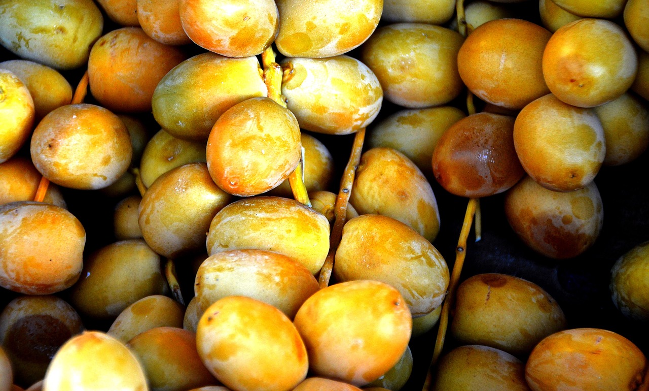südfrucht, datteln, unbehandelt, markt, einkauf, bio, lebensmittel, naturkost, gesund, biologischer anbau, südfrüchte, marktstand, sonnenlicht, naturprodukte, datteln, datteln, datteln, datteln, datteln
