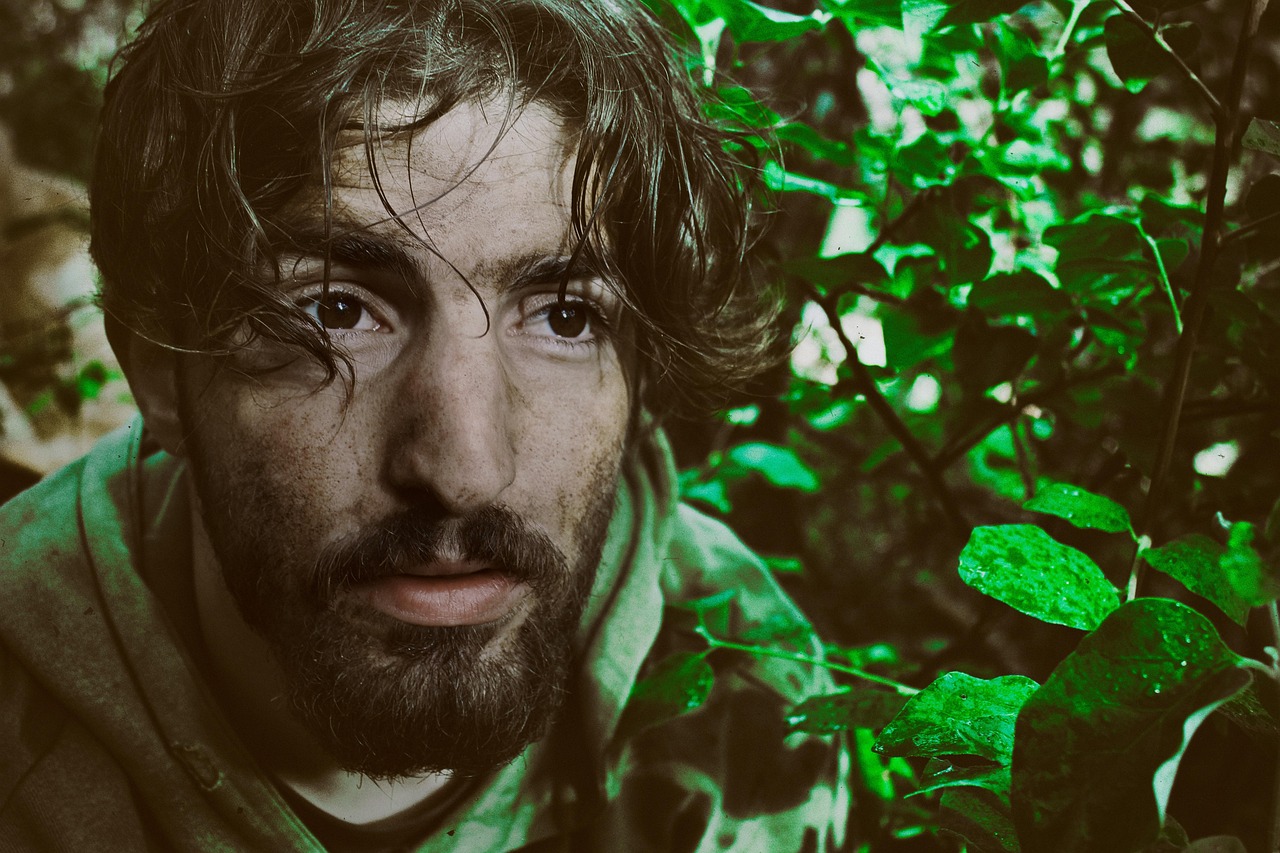 guerre, la nature, survie, vie, vert, lutter, survie, survie, survie, survie, survie