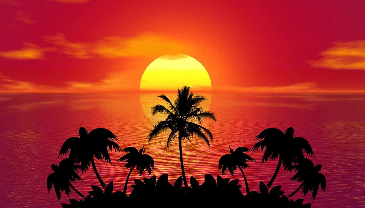 sunset, palm trees, silhouettes, tropical island, tree silhouettes, sun, dusk, twilight, sea, ocean, horizon, seascape, setting sun, tropical, beach, island, sunset, nature, sunset, sunset, sunset, sunset, sun, sun, sun, sun, beach, beach, beach, beach