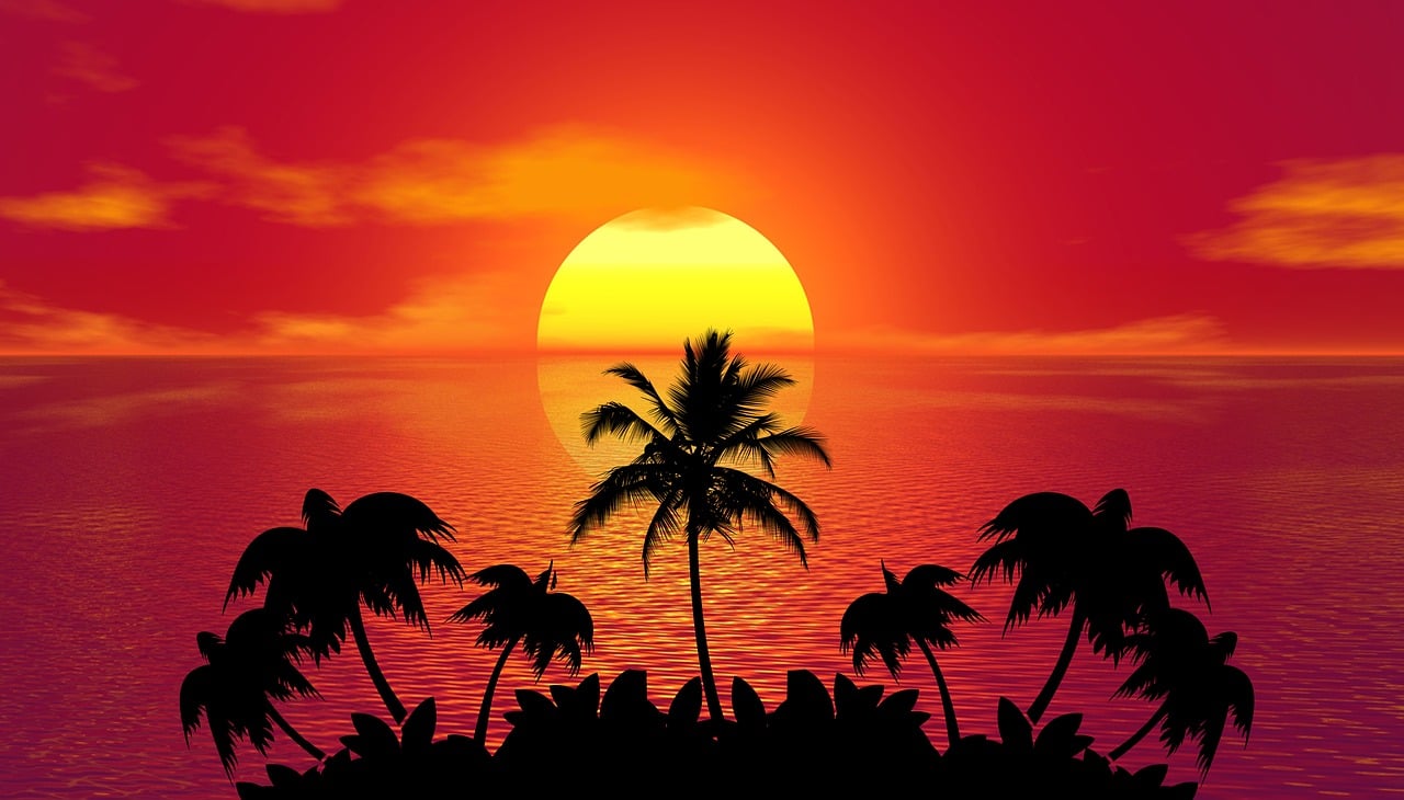 sunset, palm trees, silhouettes, tropical island, tree silhouettes, sun, dusk, twilight, sea, ocean, horizon, seascape, setting sun, tropical, beach, island, sunset, sunset, sunset, sunset, sunset, sun, sun, sun, sun, beach, nature, beach, beach, beach