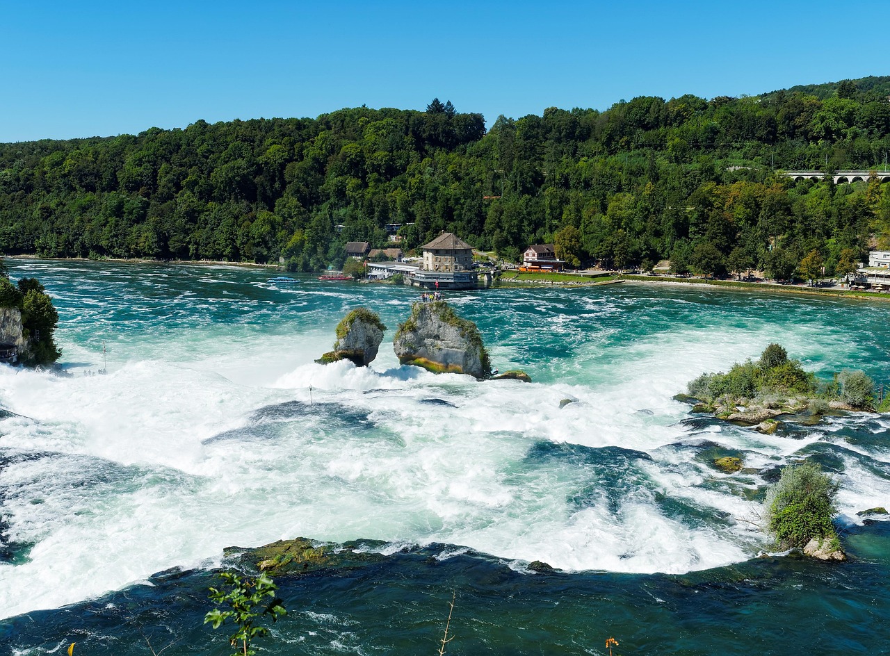 fleuve, cours d'eau, chutes, rapides, cascades, rhin, nature, eau, chutes d'eau, suisse, rivière, remous, chute d'eau