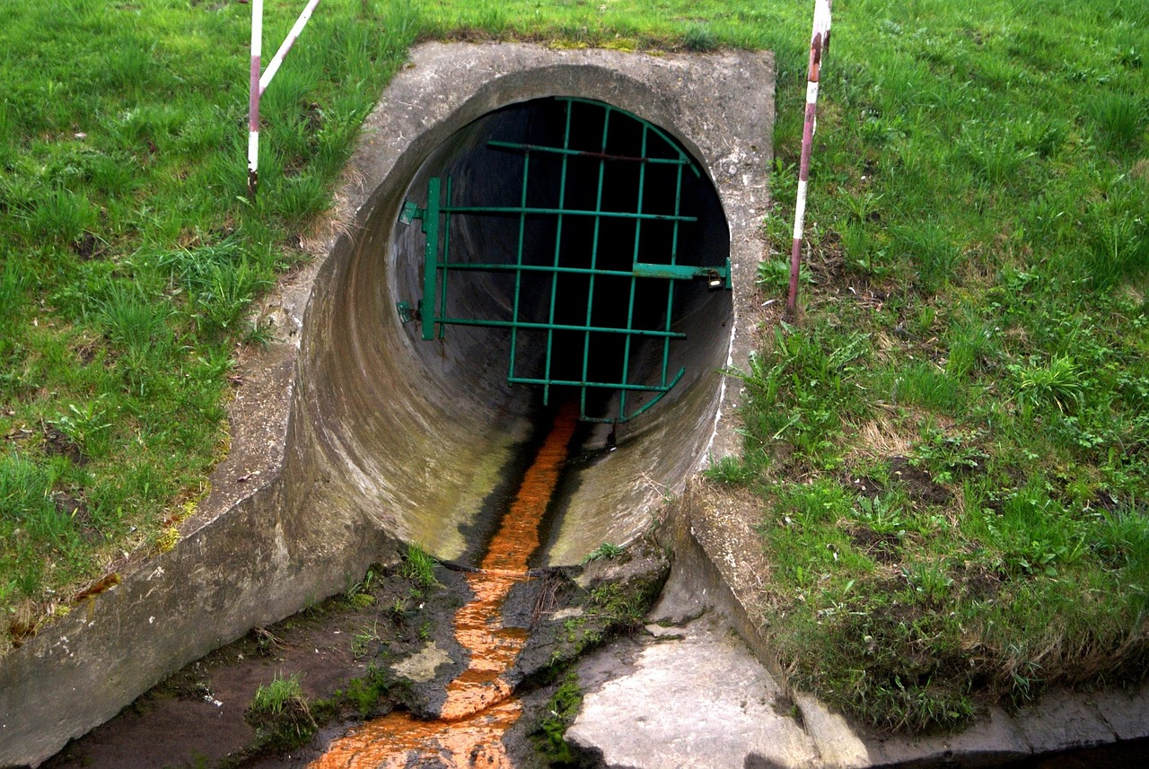 channel, sewage, unsanitary, sewers, river, old, contamination, water, risk, contaminated, nature, dirty, green, swim, environment, the destruction of the, pipe, sewage, sewage, sewage, sewage, sewage