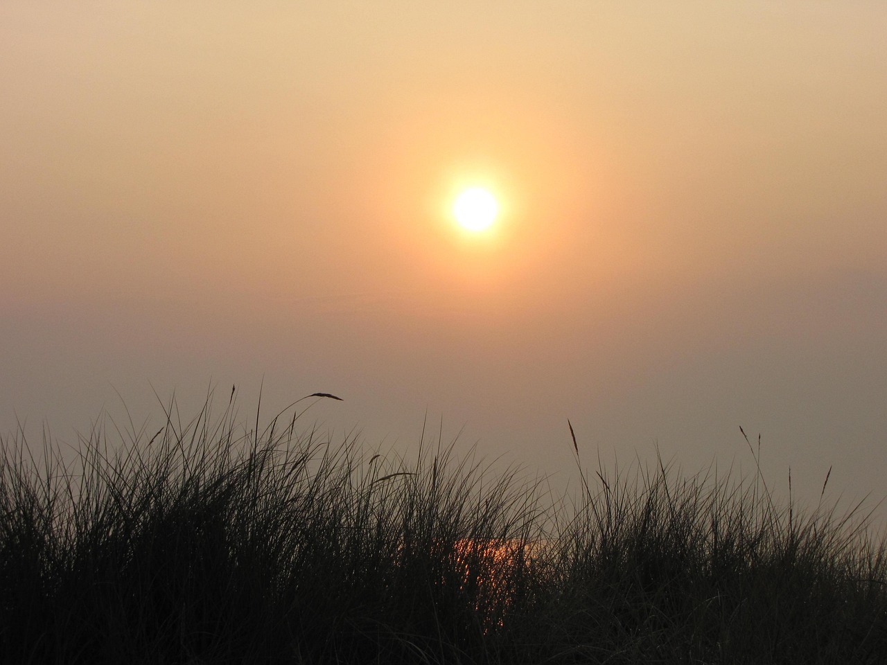 sonne, natur, morgen, sonnenaufgang, morgenhimmel, meer, gräser