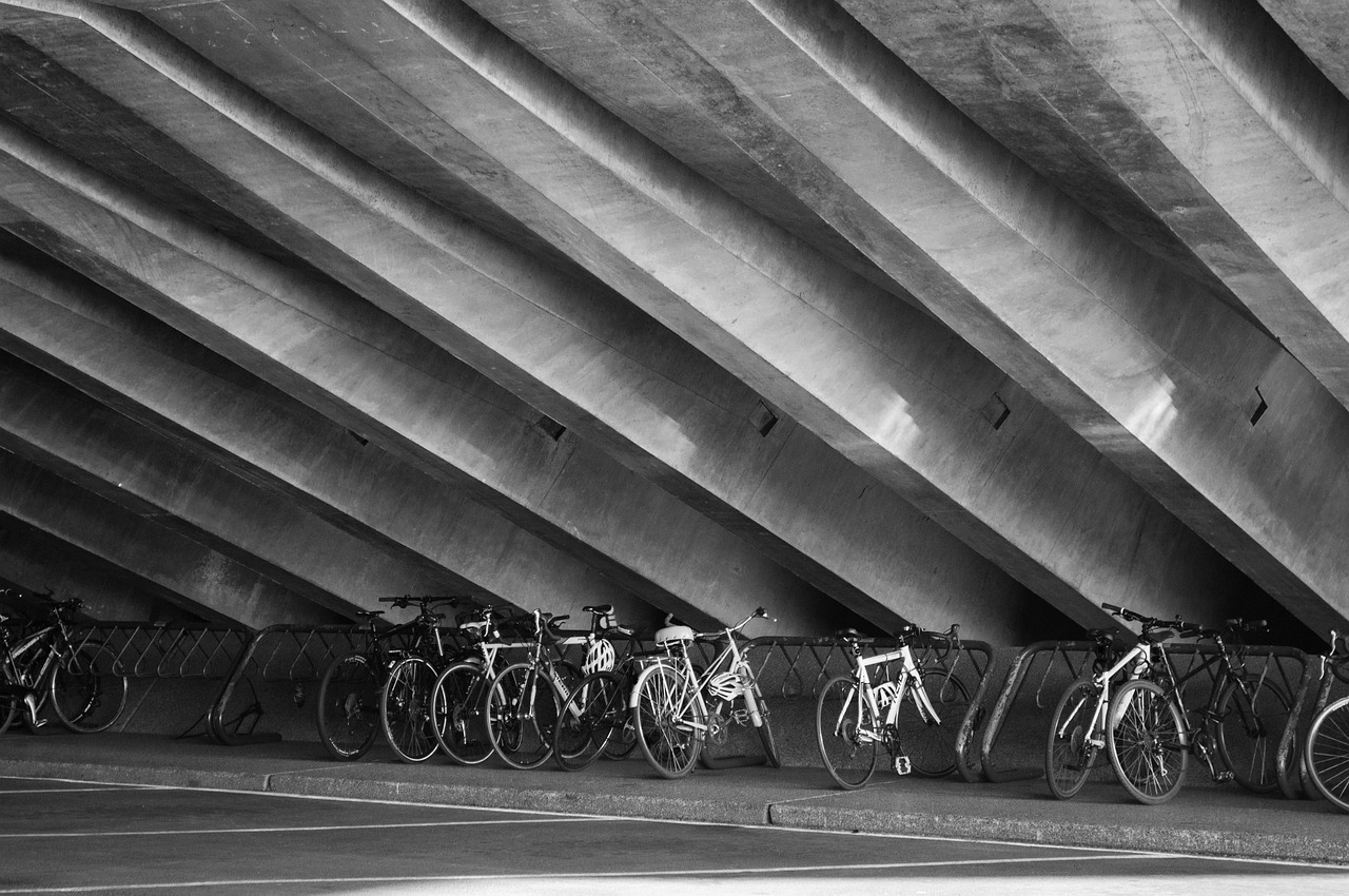 cykel, natur, cykling, cyklist, cykla, rida, hälsosam, aktivitet, sommar, stad, utanför, utomhus, ridning, väg, svart, vit, svartvitt, grå friska, grå cykel