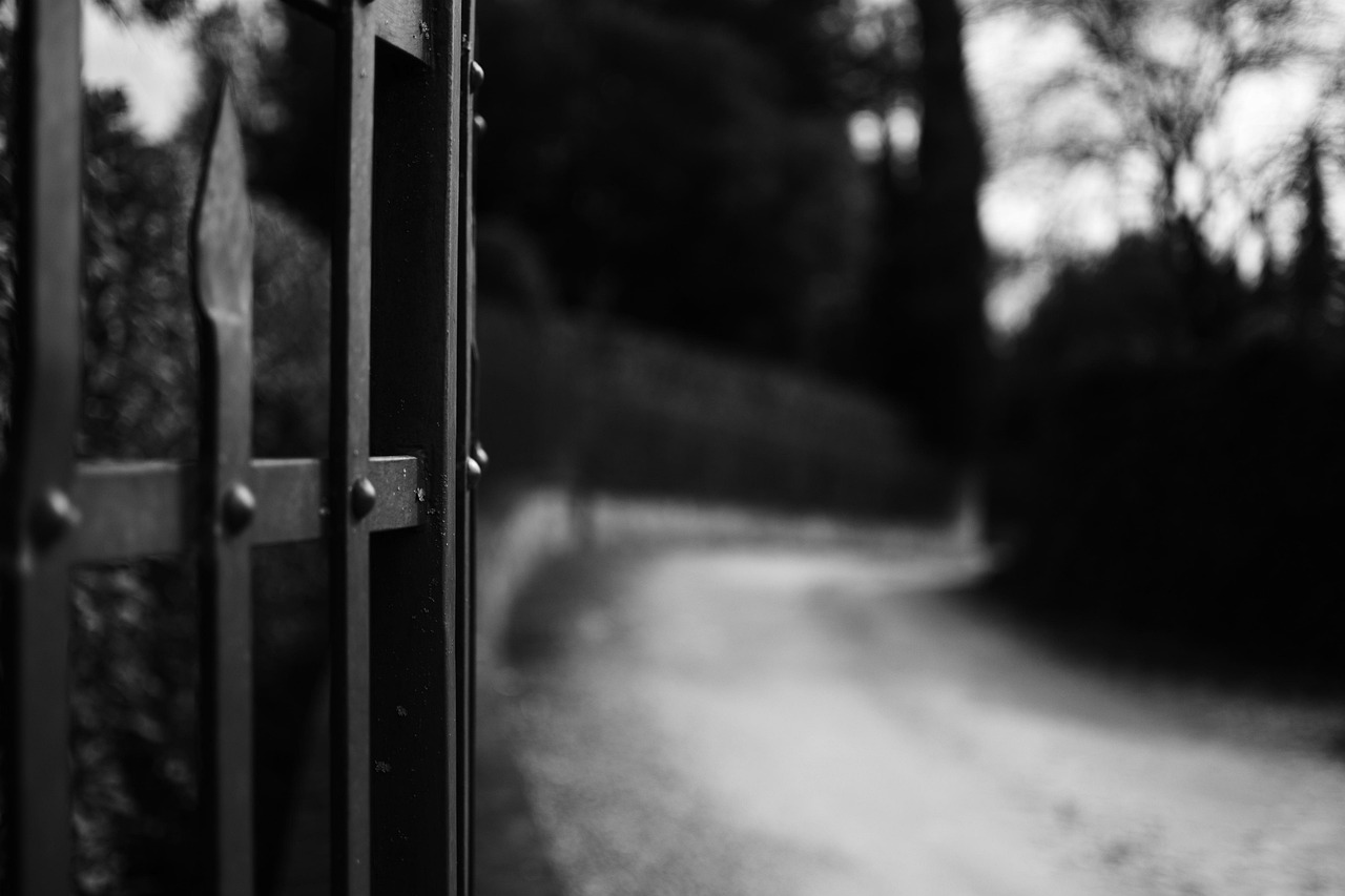 street, gate, white black, photo, country, black and white, freedom