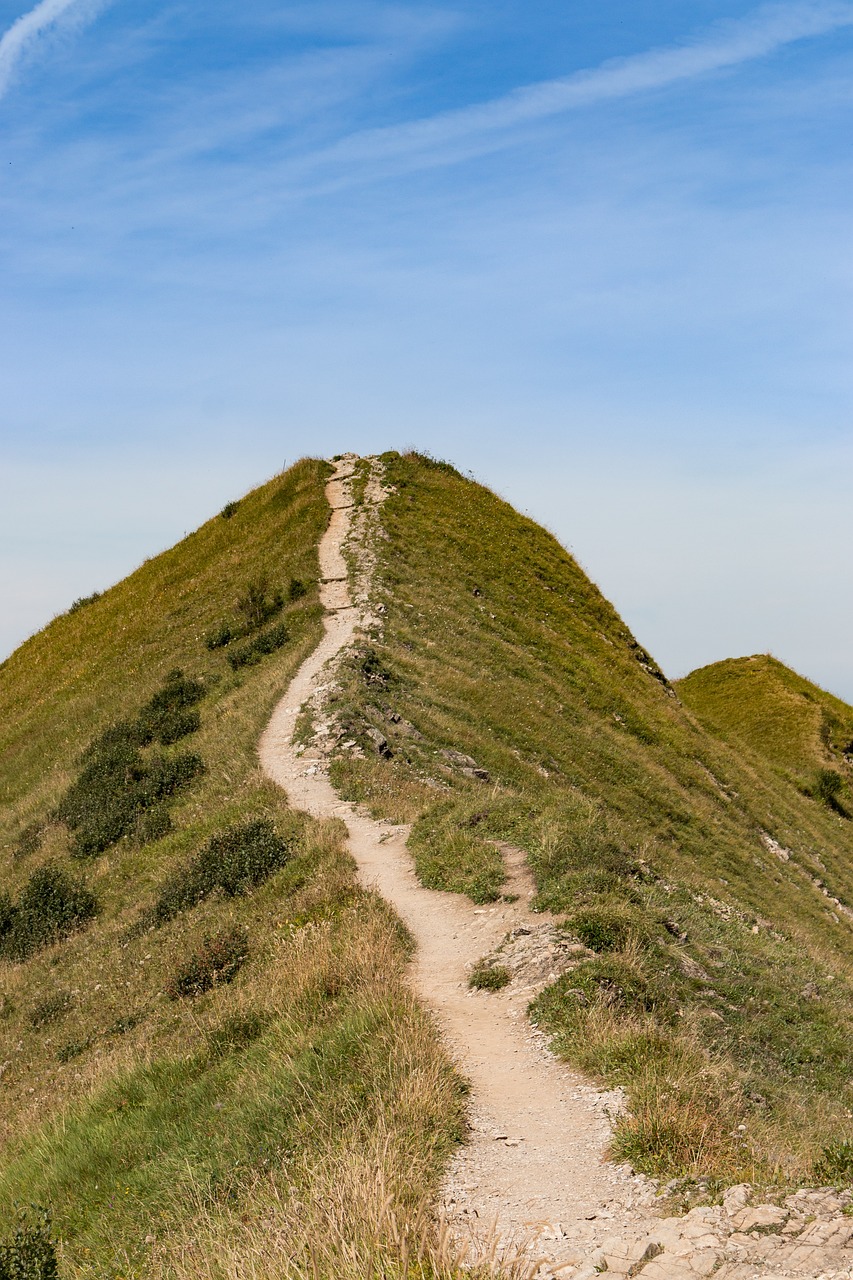 path, narrow, rise, nature, hike, degree, narrow, narrow, narrow, narrow, narrow