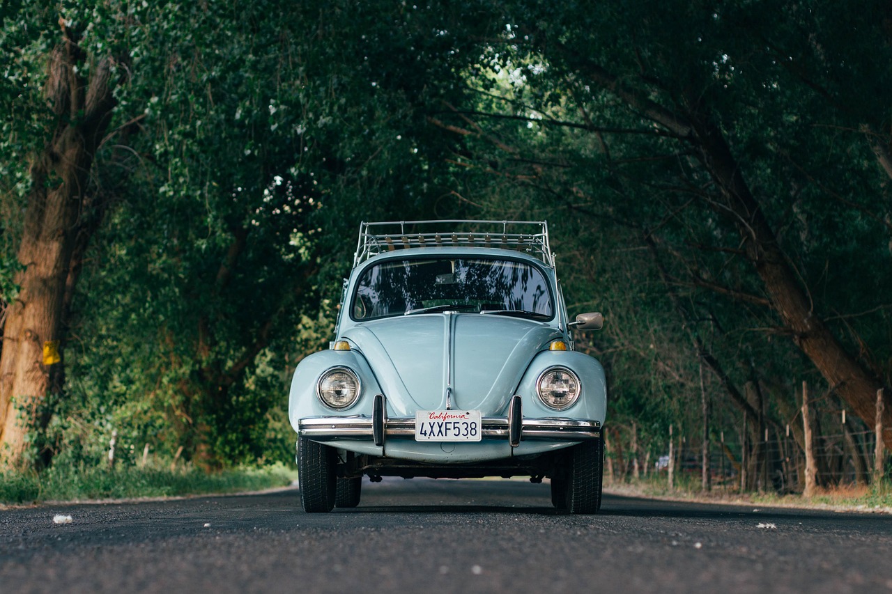automobile, automotive, car, hd wallpaper, classic, wallpaper hd, 4k wallpaper, desktop backgrounds, road, 4k wallpaper 1920x1080, travel, free wallpaper, free background, mac wallpaper, cool backgrounds, car wallpapers, trees, vehicle, nature, full hd wallpaper, volkswagen, volkswagen beetle, laptop wallpaper, beautiful wallpaper, windows wallpaper, wallpaper 4k, vw, oldtimer, wallpaper