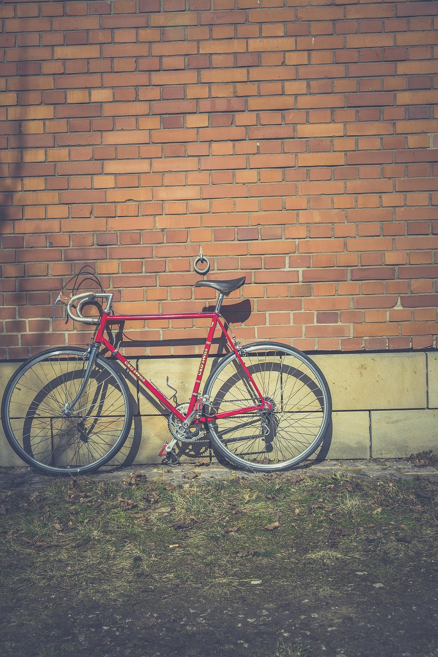 bicicletă, clasi biciclete, clasic, curat, coroană dințată, ciclu, ciclism, cadru, cu mână liberă, butuc roată, inel de viteze, de mare viteză, hipster, minim, maşini de epocă, curse, biciclete de curse, retro, viteza de singel, viteză, oţel, stil, la modă, urban, cadru maro, maro bicicleta, maro curat