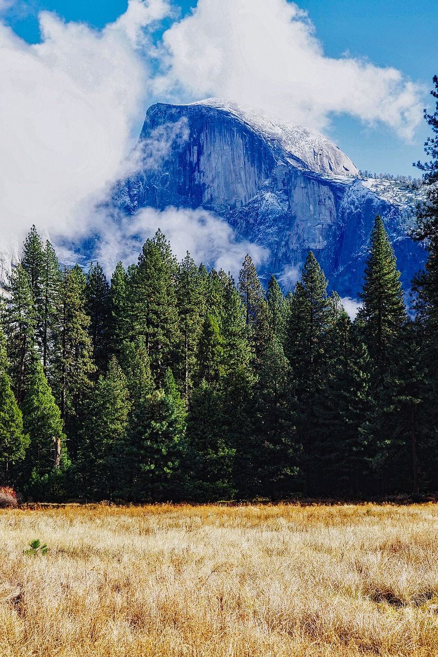 half dome, yosemite, national park, california, landscape, meadow, forest, trees, woods, nature, outdoors, country, countryside, wilderness, hdr, snow, fog, tourism, half dome, yosemite, yosemite, yosemite, yosemite, yosemite, national park, california, woods, wilderness