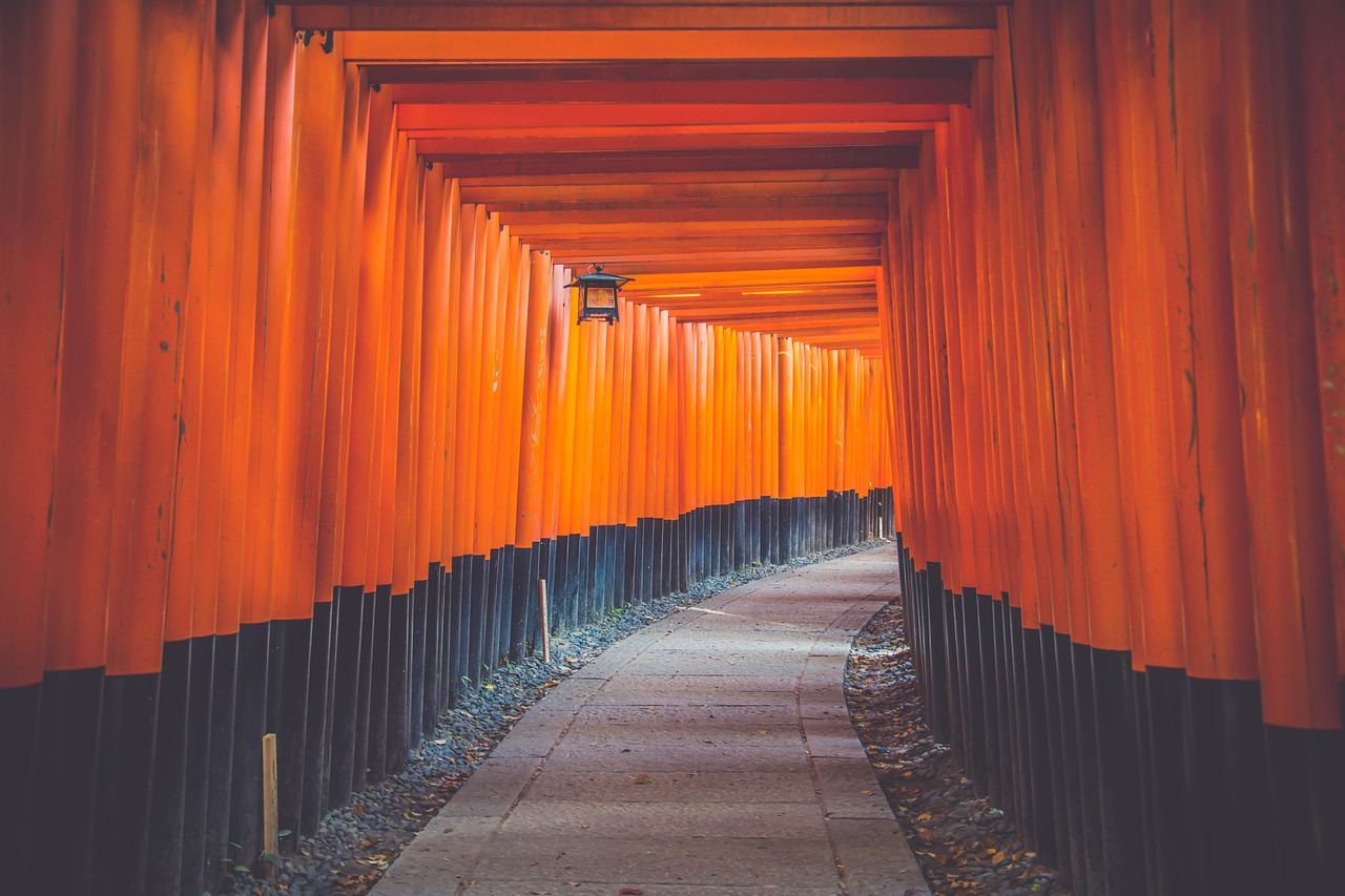 shinto shrine gates, torii tunnel, path, fushimi-inari taisha, passage, pathway, wood, landmark, architecture, art, torii gate, famous, japanese culture, kyoto, japan, pathway, japan, japan, japan, japan, japan