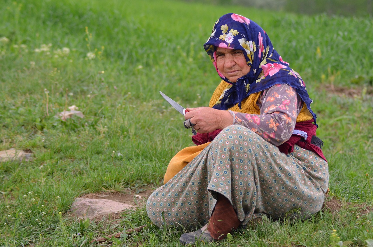 la nature, village, turquie, mettez le dans le, paix, date, samsun, nous la, dinde, solitude
