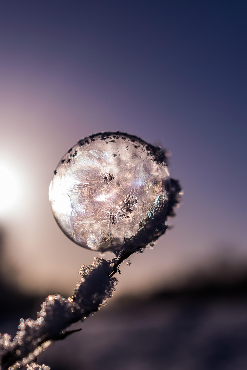 soap bubble, frozen, frozen bubble, winter, eiskristalle, wintry, cold, snow, ball, frost bubble, frost, bubble, ice, ice bubble, frost ball, crystalline, freeze, winter magic, spherical shape, magic, hardest, spherical, crystal growth, the winter's tale, icy cold, magical, backlighting, landscape, crystals, icy, fairytale, sunrise, nature, gold, orange, blue, iphone wallpaper, frozen bubble, winter, cold, crystals, sunrise, sunrise, iphone wallpaper, iphone wallpaper, iphone wallpaper, iphone wallpaper, iphone wallpaper