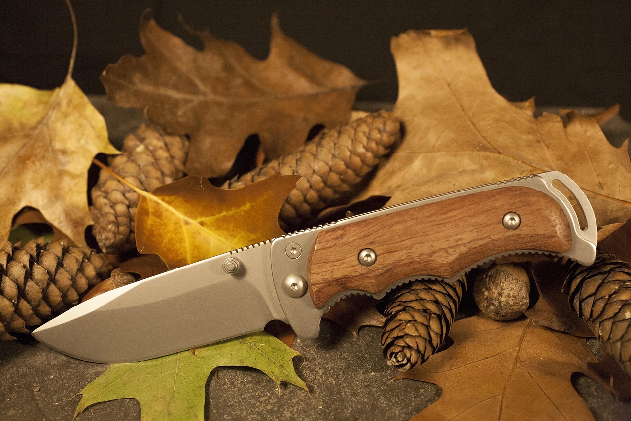 feuilles, nature, couteau, automne, chasse, survie