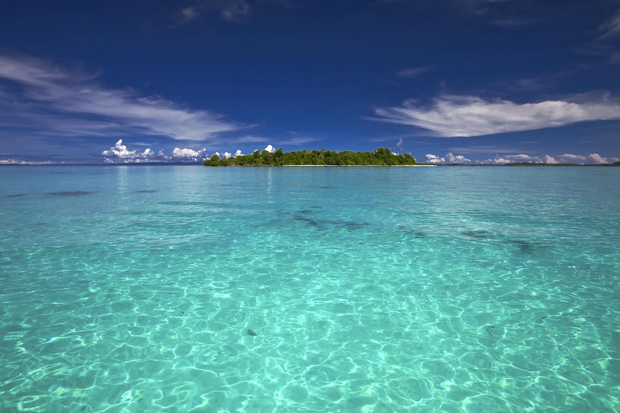 landschap, zee, kojima, tropisch, koraalrif, tropische, transparant, cobalt blauw, indonesië, natuur, halmahera-eilanden