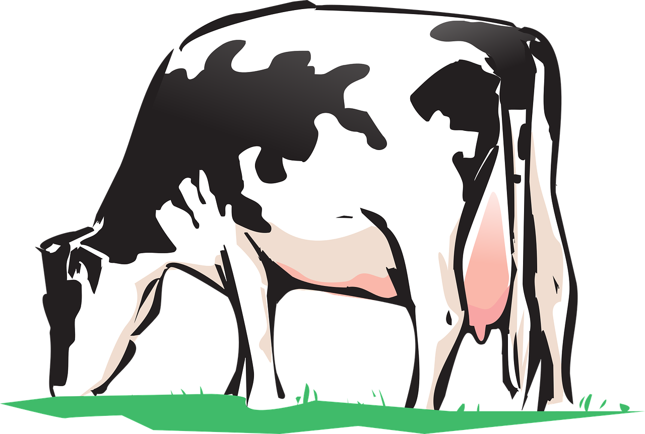 cow, farm animal, cow, cow, cow, cow, cow