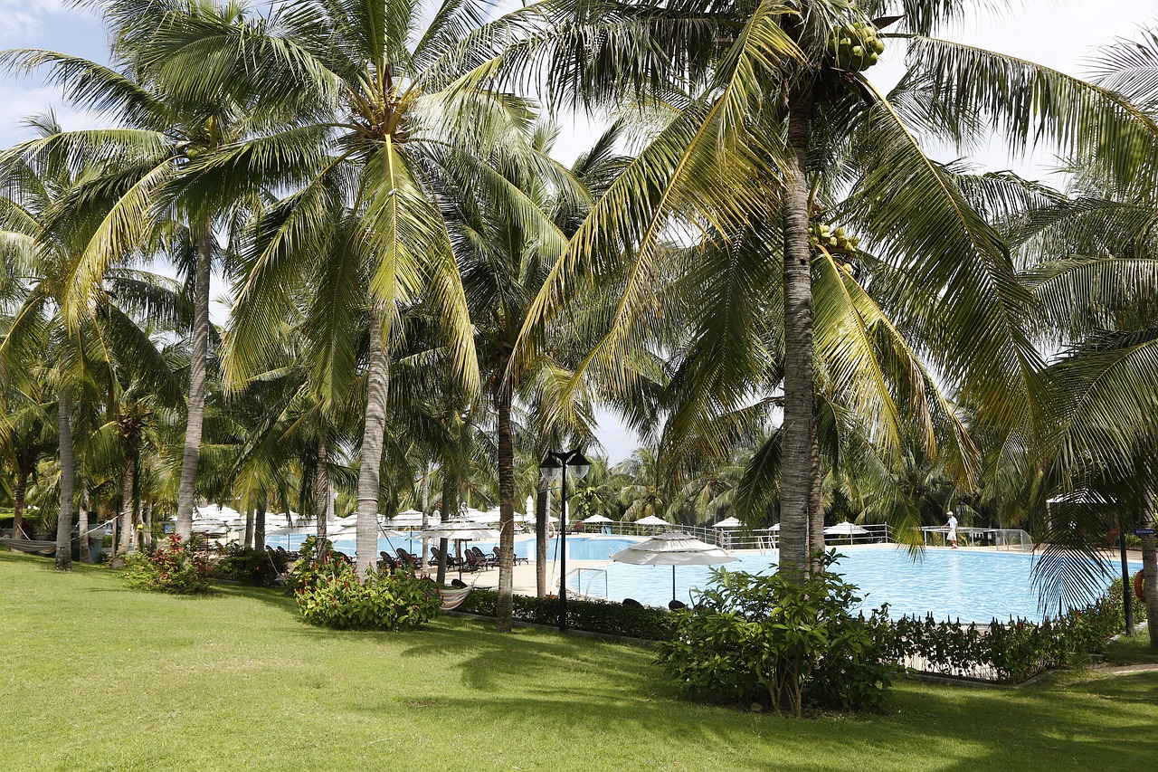 sun spa resort, piscina, vietnam, paesaggio, vacanza, noce di cocco