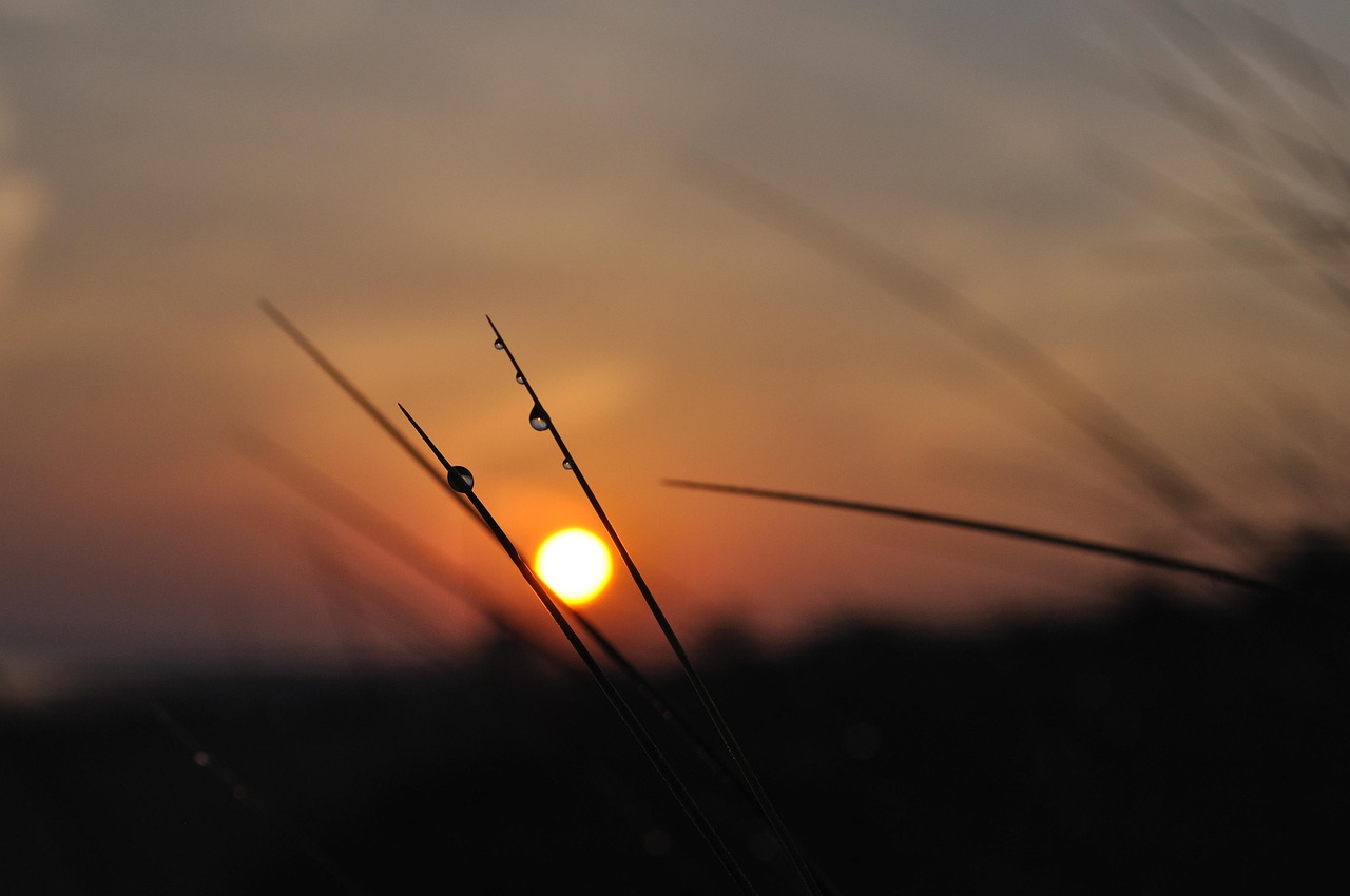 morgenstimmung, sonnenaufgang, gegenlicht, natur, landschaft, morgenhimmel
