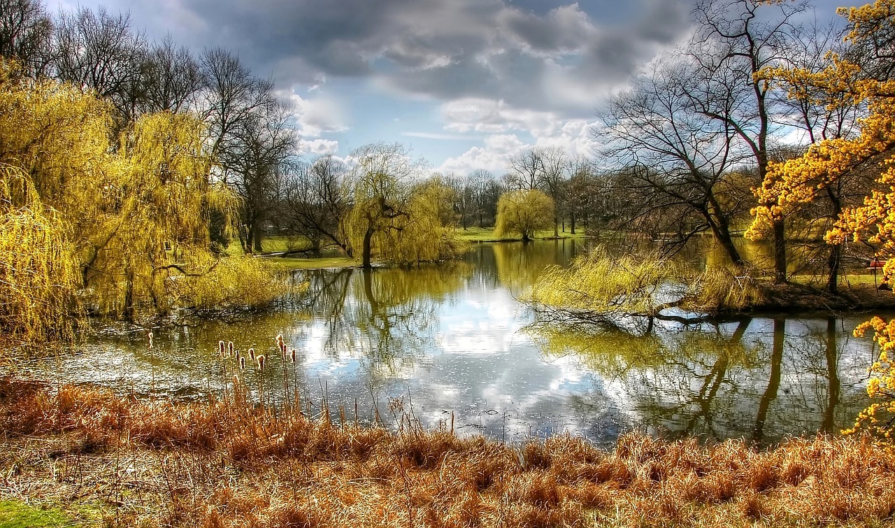 park, braunschweig, natur, deutschland, landschaft, see, niedersachsen, frühling, aussicht, norddeutschland, stimmung, wasser, ufer, wolken, ufergewächs, braunschweig, braunschweig, deutschland, deutschland, niedersachsen, niedersachsen, niedersachsen, niedersachsen, niedersachsen