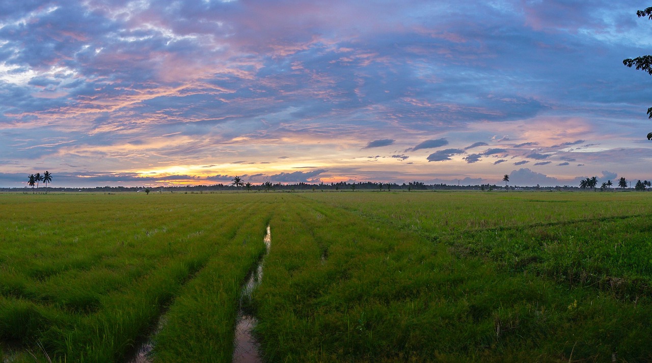 landscape, sunset, sky, sun, alpha, aceh, indonesia, light, outdoor, sunrise, nature, summer, sunset, alpha, alpha, alpha, aceh, aceh, aceh, aceh, aceh, indonesia, nature