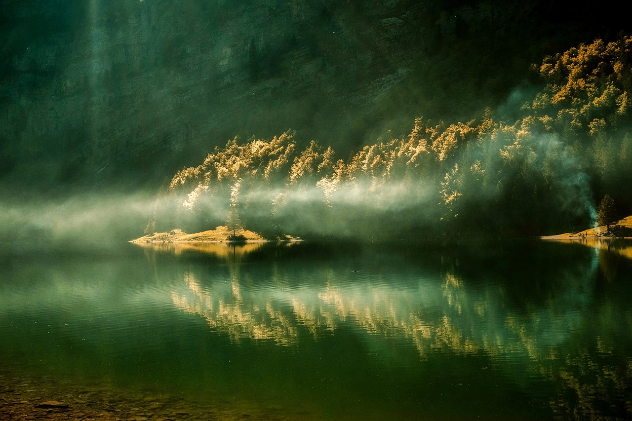 zonsopkomst, ochtend, meer, water, reflecties, woud, bomen, bossen, landschap, natuur, buitenshuis, mooi, mist, groene natuur, groen water, groene woud, groene landschap, groene boom, groene zonsopgang, groene schoonheid, groen meer, groene ochtend