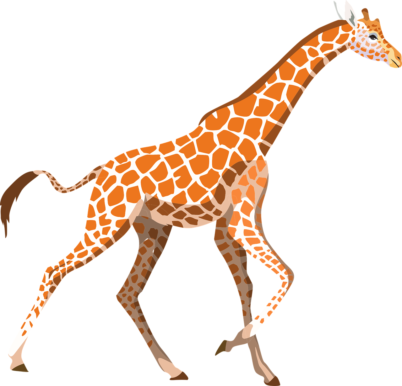 giraffe, zoo, animal, wild, wildlife, africa, mammal, nature, neck