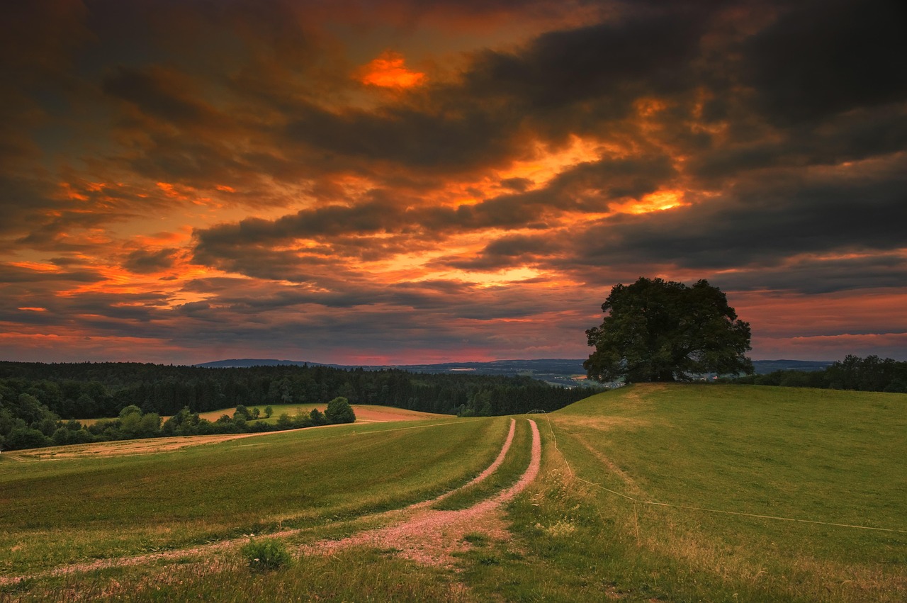 natur, landschaft, natürlich, sommer, himmel, sonnenuntergang, baum, weg, silhouette, hintergrundbild 4k, 4k-hintergrundbild 1920x1080, desktop-hintergründe, abendstimmung, abend dämmerung, windows wallpaper, laptop-hintergrundbild, mac-hintergrundbild, 4k-hintergrundbild, abendsonne, coole hintergründe, schöne tapete, abend, hintergrundbild in hd, gegenlicht, hintergrund, desktophintergrund, romantisch, kostenlose tapete, stimmung, hd-hintergrund, kostenloser hintergrund, goldenes licht, abendrot, full-hd-hintergrundbild, abenddämmerung