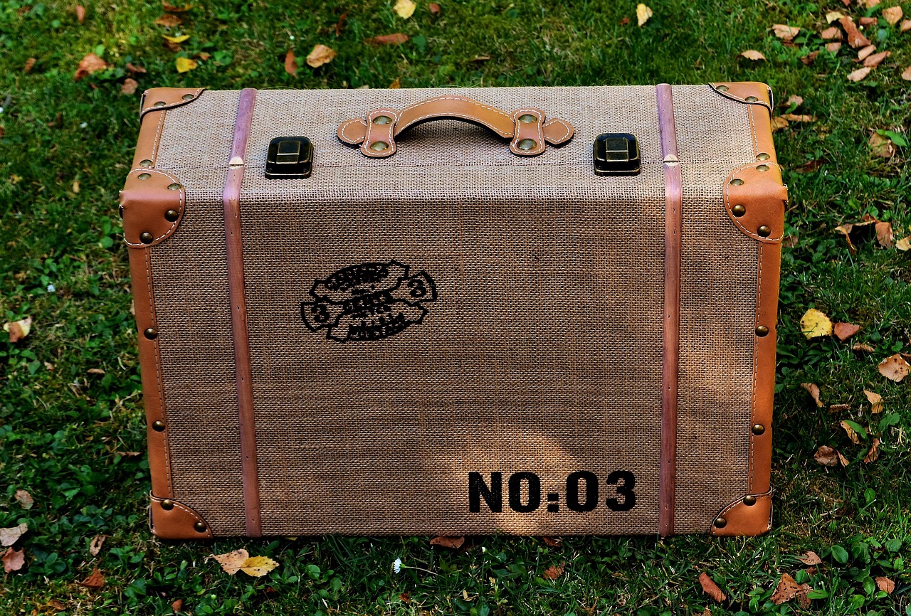 koffer, urlaub, verreisen, gepäck, reise, packen, ferien, reisegepäck