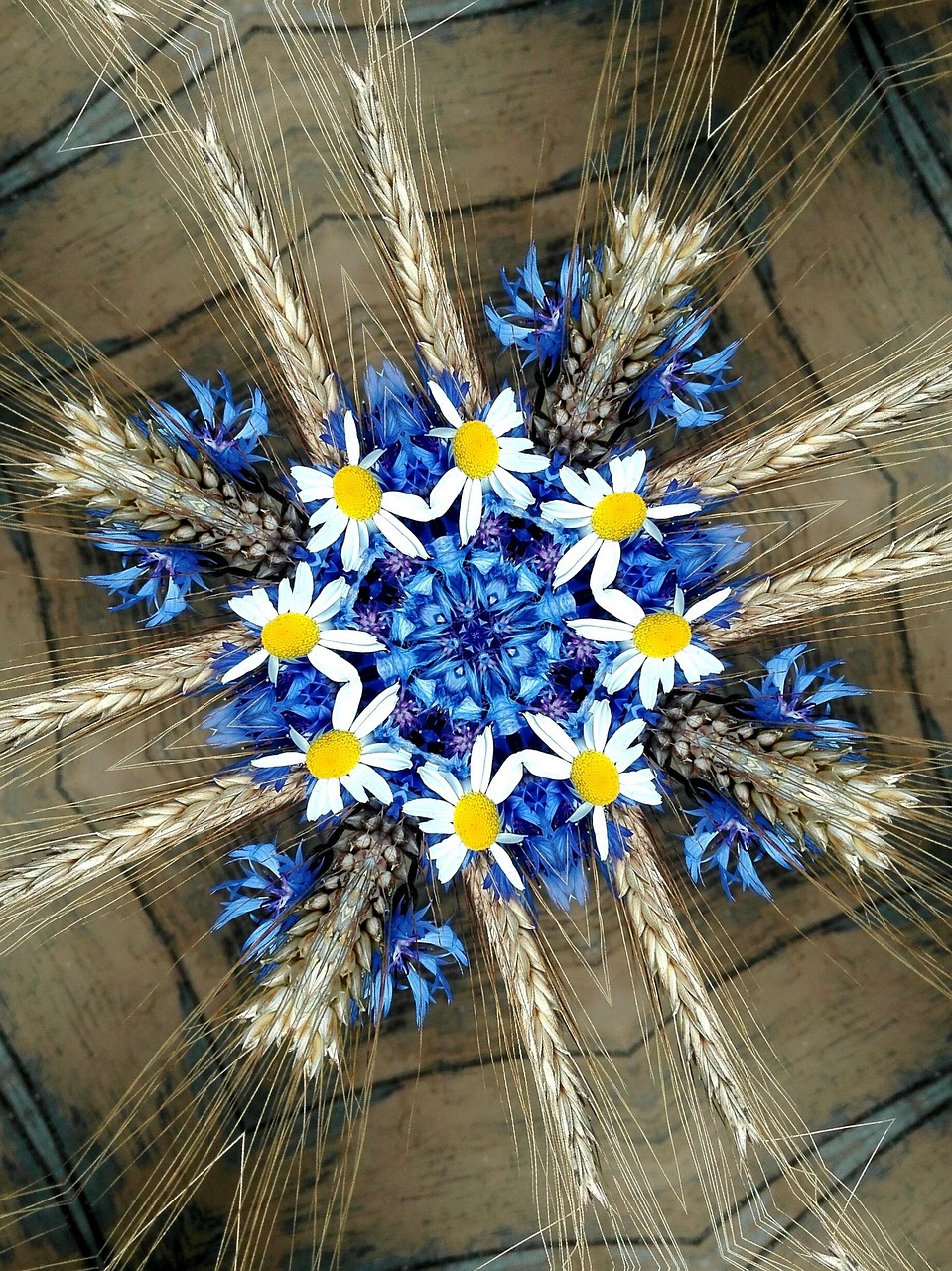 kornblumen, kamille, natur, ähren, sommer