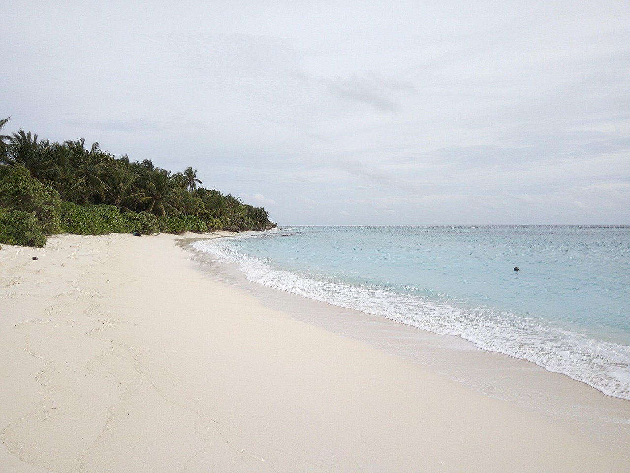 thoddoo, maldives, sea, ocean, water, todd, turquoise