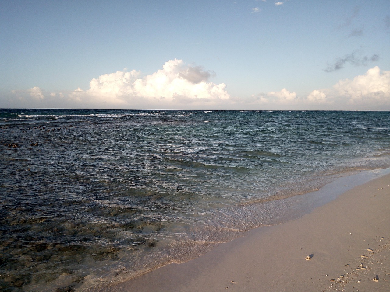 thoddoo, maldives, sea, ocean, water, todd, turquoise