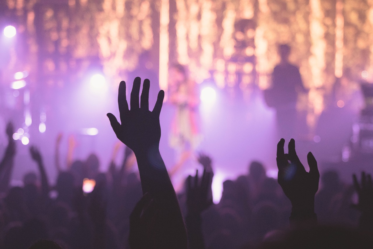 people, man, woman, concert, hands, silhouette, lights, dark, night, party, lilac light, lilac party, lilac night, lilac dark, lilac concert, lilac lights, concert, concert, concert, concert, concert