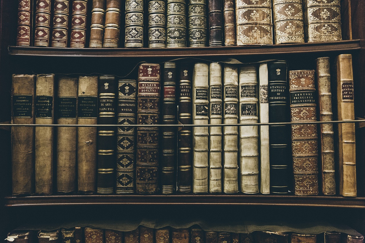libri, biblioteca, lettura, formazione scolastica, storia, filosofia, scaffali, apprendimento, letteratura, libri, libri, biblioteca, storia, storia, storia, storia, storia, filosofia, filosofia, filosofia