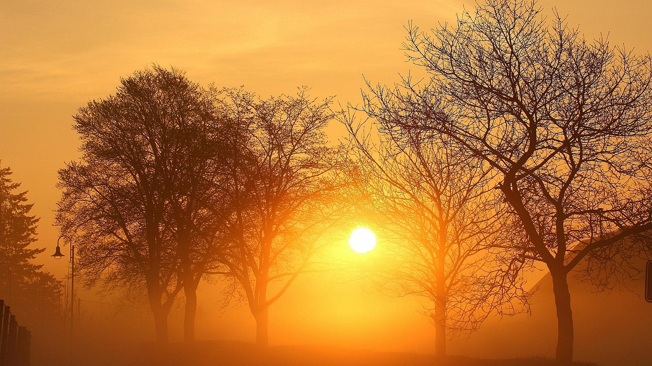 eifel, sonnenaufgang, landschaft, natur, morgenstimmung, gegenlicht, morgenhimmel, eifel, eifel, eifel, eifel, eifel