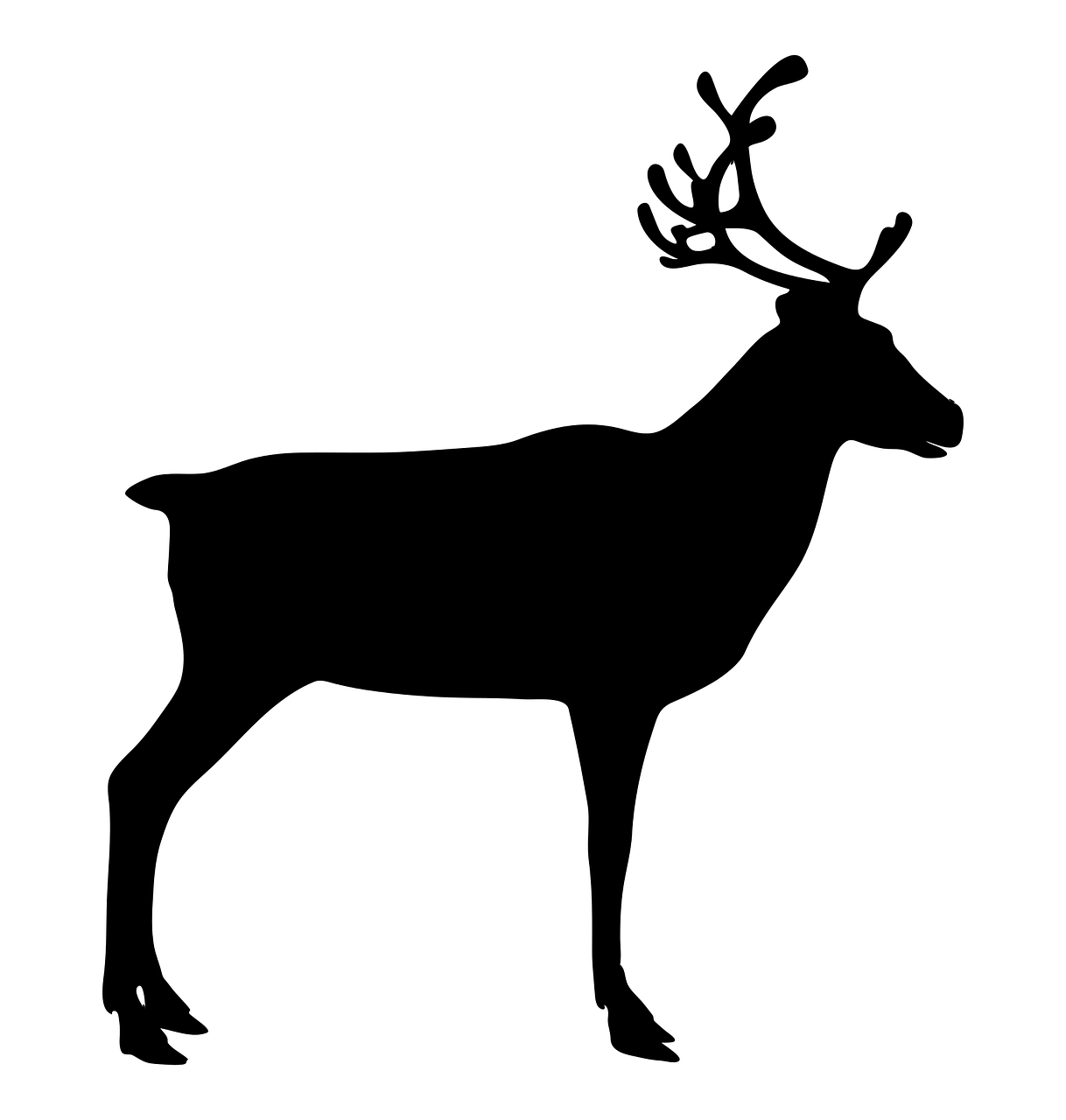 renna, animale, selvaggio, animali selvatici, natura, africa, zoo, fauna, safari, disegno, vita, esotico, nord, ornamento, struttura, acquerello, silhouette, senza soluzione di continuità, modello, tessuto, decorazione, impostato, gufo, stampa, sfondo, collezione, involucro, tatuaggio