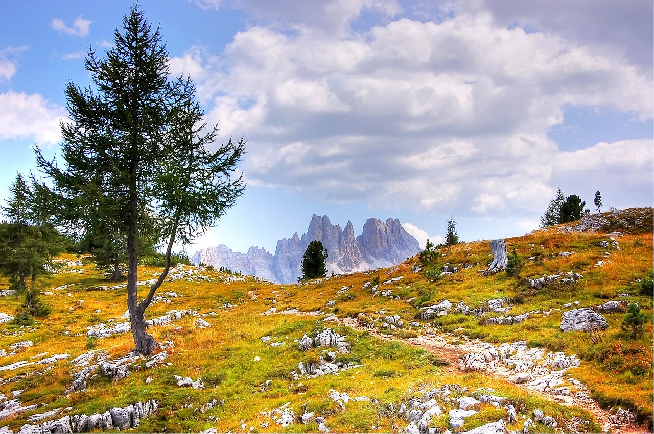 dolomites, mountains, italy, south-tirol, alps, landscape, alpine panorama, outlook, nature, rock, belluno, alm, giaupass, lake, karg, summer, clouds, panorama, heaven, tofana, mountain pass, rubble field, top, hike, climb, unesco world heritage, stone, hard rock, viewpoint, tourism, meadow