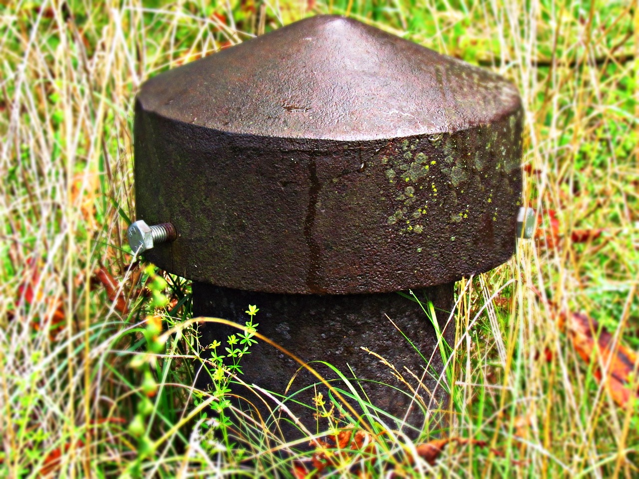 gras, wiese, hydrant, natur