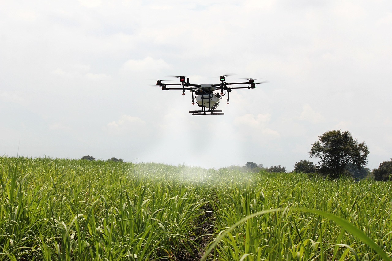 spritzen zuckerrohr, zuckerrohr, drohne für die landwirtschaft, sprühen, kolumbien, landwirtschaft, anbau, spritzen, drohne, aerosolfarbe, drohne besprühend, flugzeug, technologie, drohne, drohne, drohne, drohne, drohne