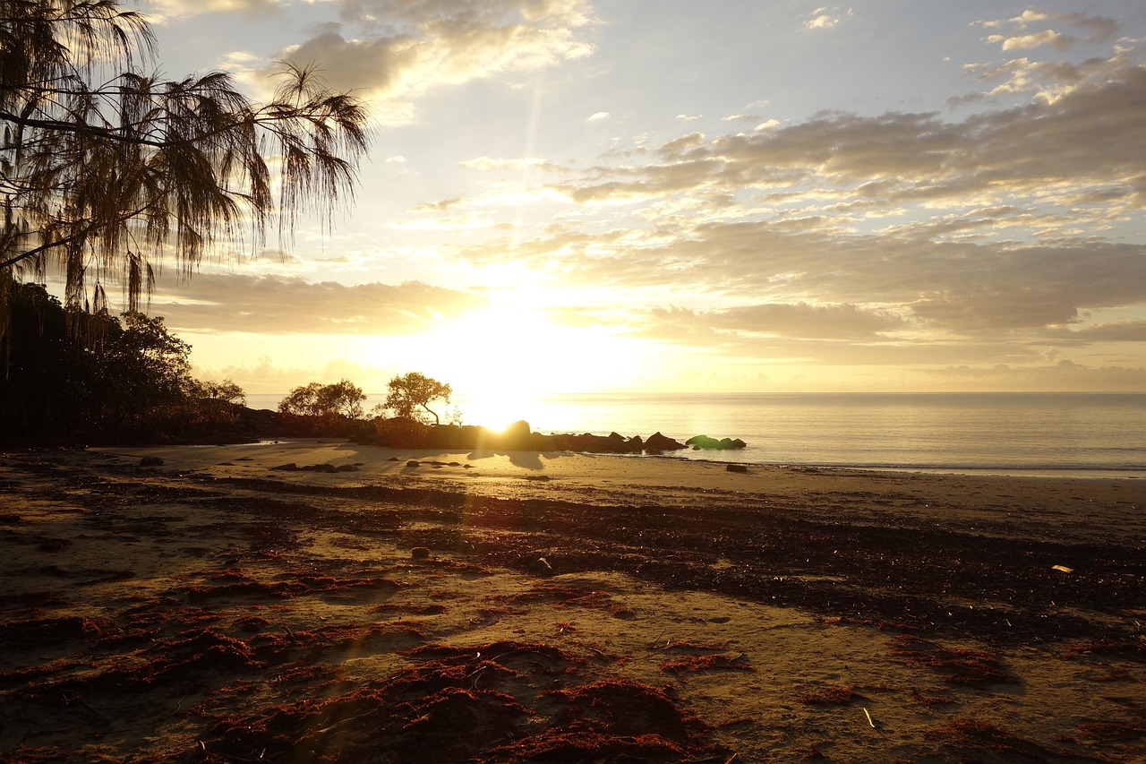 natur, australien, port-douglas