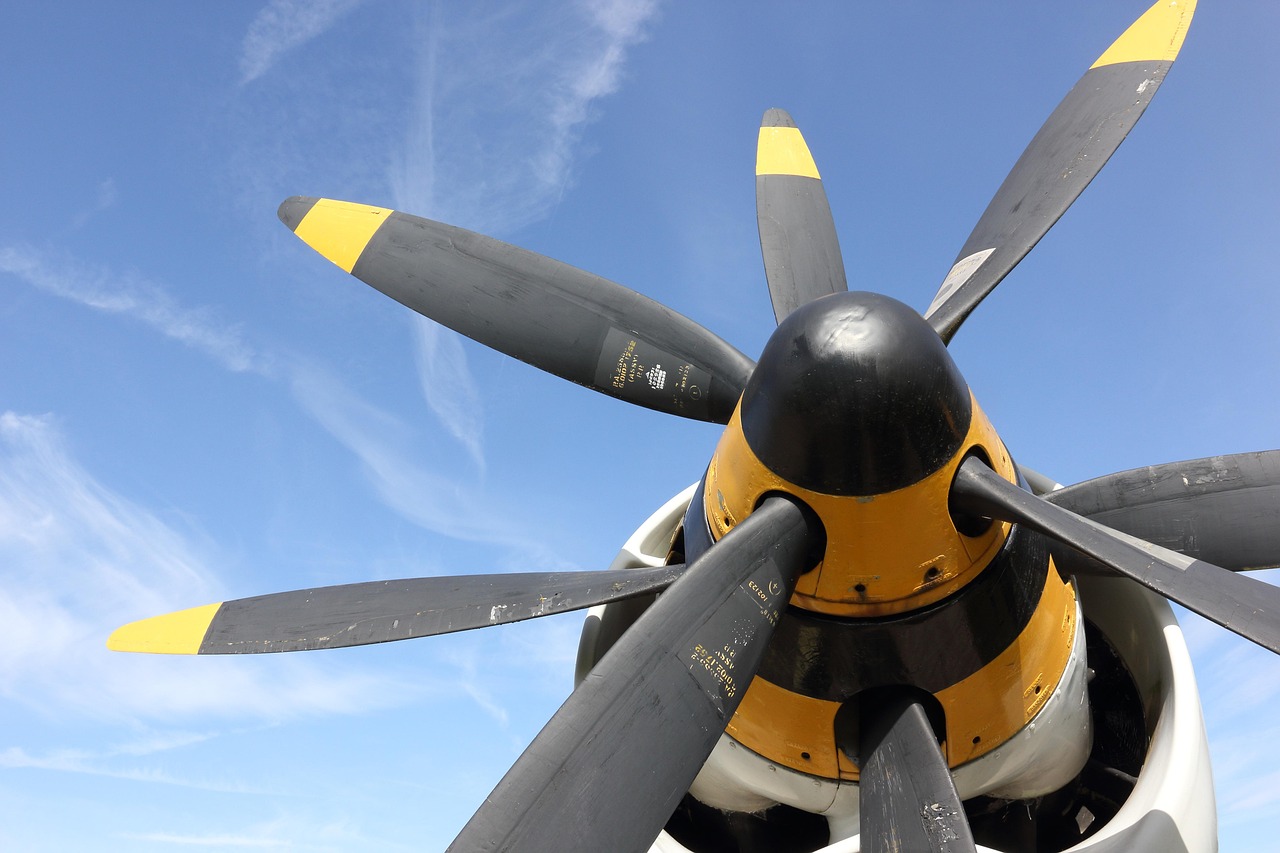 deutschland, hermeskeil, museum, luftfahrt, flugzeug, fee, gannet, aew, mk3, propeller, gegenläufigen, armstrong siddeley, turboprop, double mamba