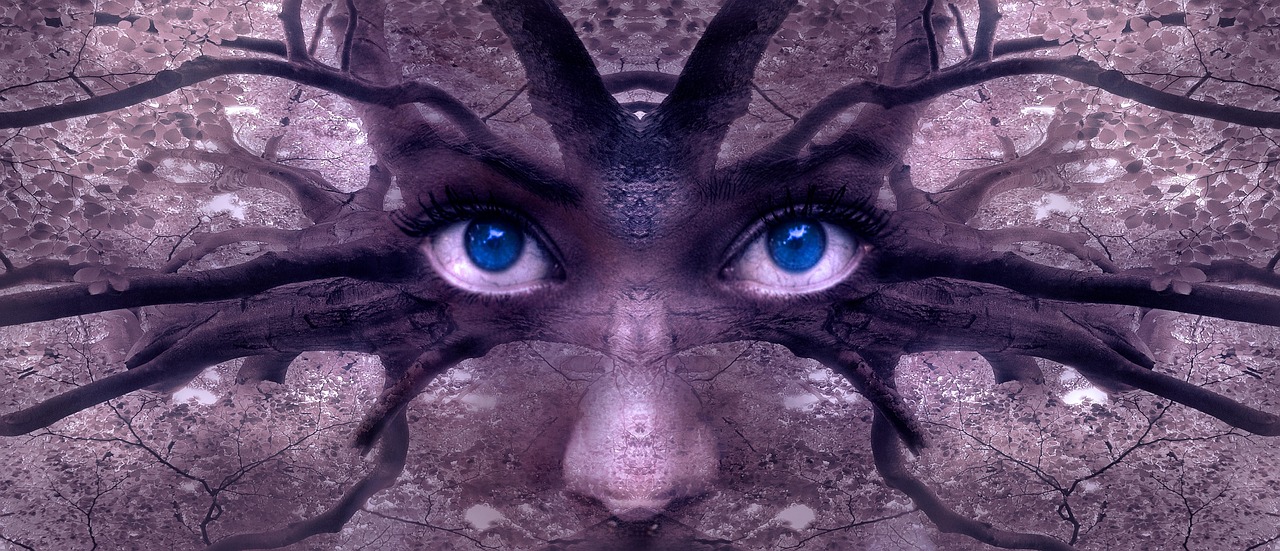 fantasy, portrait, branches, forest, treetop, nature, mystical, fairytale, say shape, mythical creatures, view, eyes, composing, photomontage, mysticism, fairy tale character, myth, mysterious, fantasy picture, fantastic, magic, dream, gruesome, surreal, light, scary, spooky, tree, ghostly, grim, horror, ghost, symmetrical