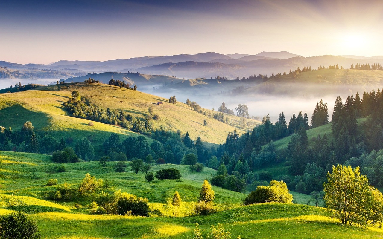 hills, beautiful wallpaper, mac wallpaper, desktop backgrounds, india, nature, kodaikanal, windows wallpaper, trees, landscape, free background, full hd wallpaper, 4k wallpaper, scenic, tamil nadu, scenery, wallpaper hd, sunny, green, hd wallpaper, outdoors, wallpaper 4k, morning, free wallpaper, nature wallpaper, wallpaper, 4k wallpaper 1920x1080, beautiful, cool backgrounds, laptop wallpaper, beautiful nature, sunset, nature background, sunrise, zoom background