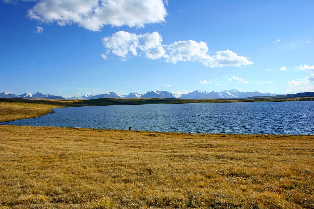 кольджинколь bass, altai, ukok gefunden wurde