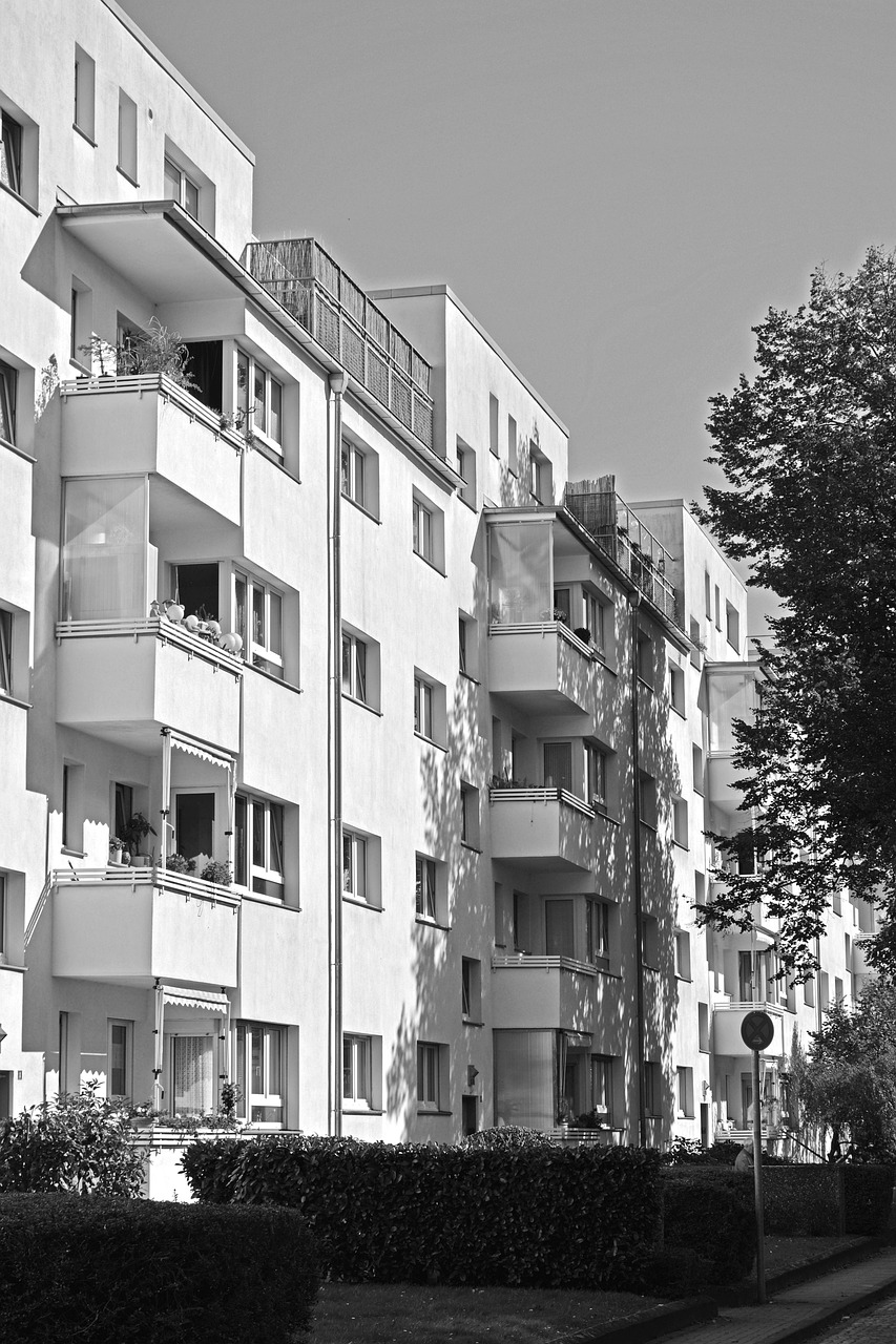 bauhaus, la ville blanche, eau de cologne, buchforst, monument, protection des monuments, héritage du monde, tourisme, architecture, urbain, bauhausarchitektur, imeuble, perspective, repère