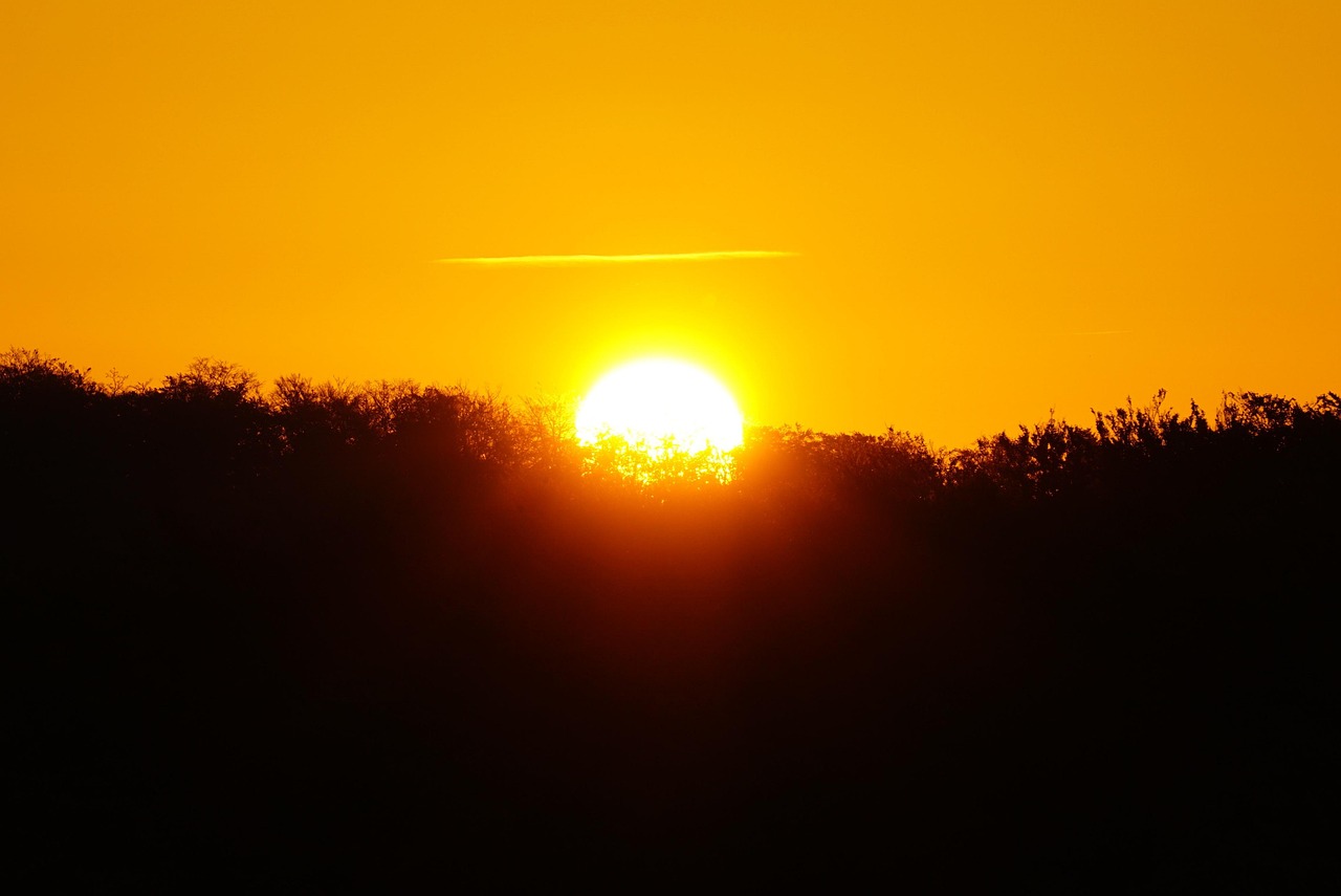 sonnenaufgang, morgenstimmung, natur, morgenhimmel, morgensonne